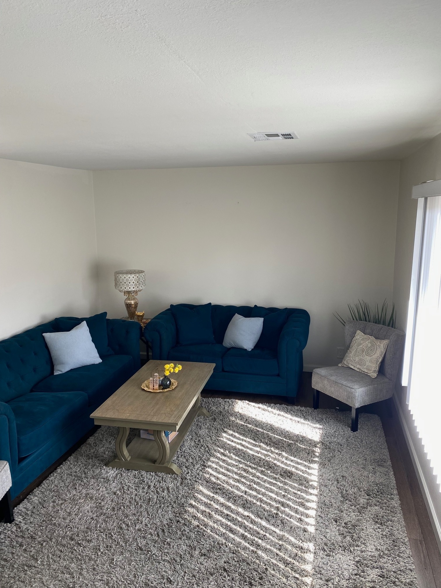 Living room - 3912 Haussman Ct