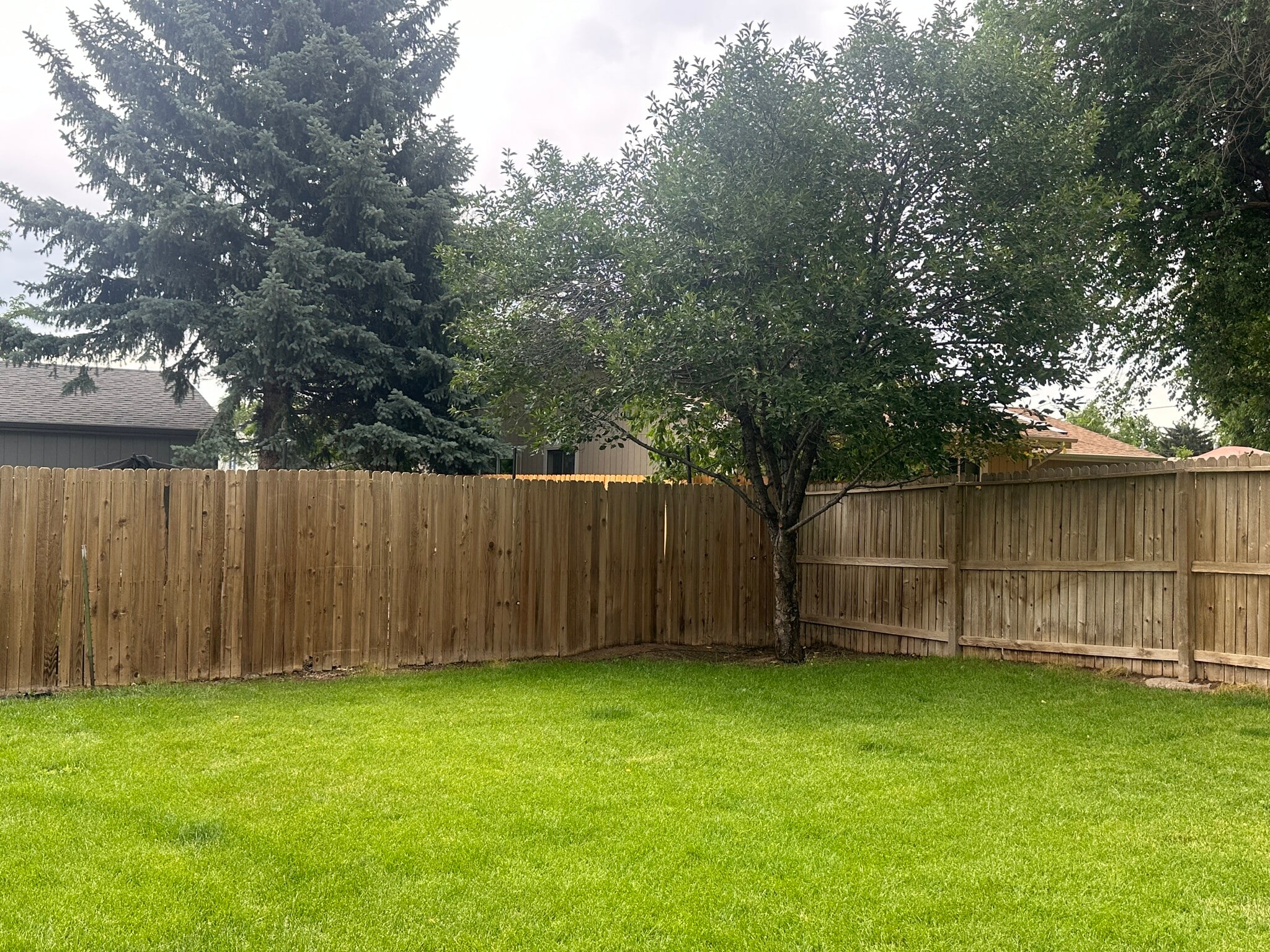 Backyard - 3524 English Court