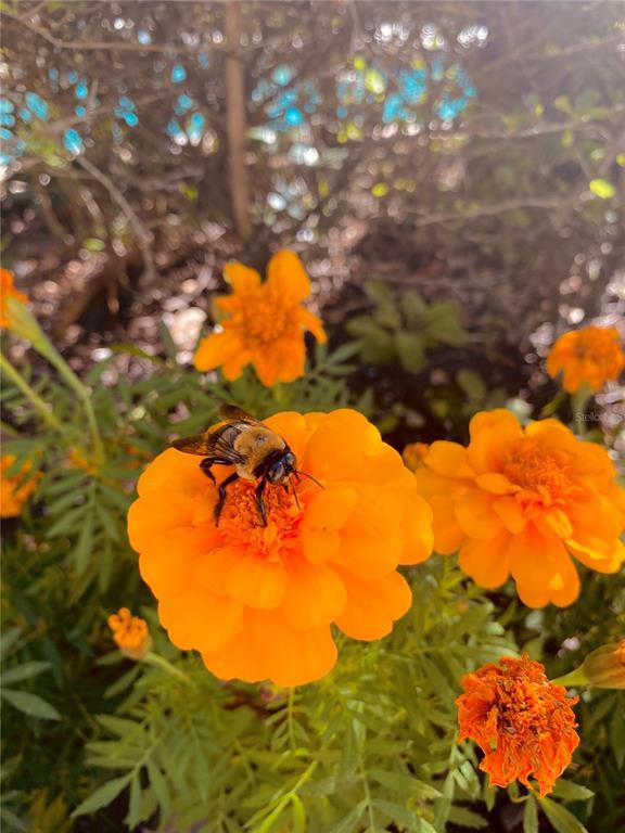 Building Photo - 8908 Legacy Ct