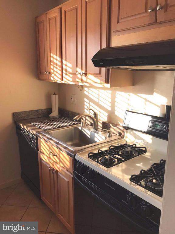 Building Photo - 6554 Pampano Dr