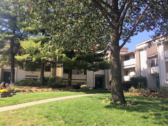 Building Photo - Remodeled condo available for July!