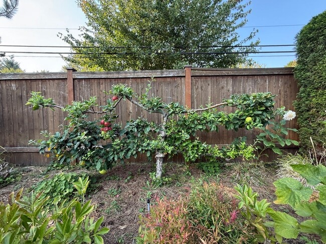 Building Photo - 15419 Mulberry Dr SE