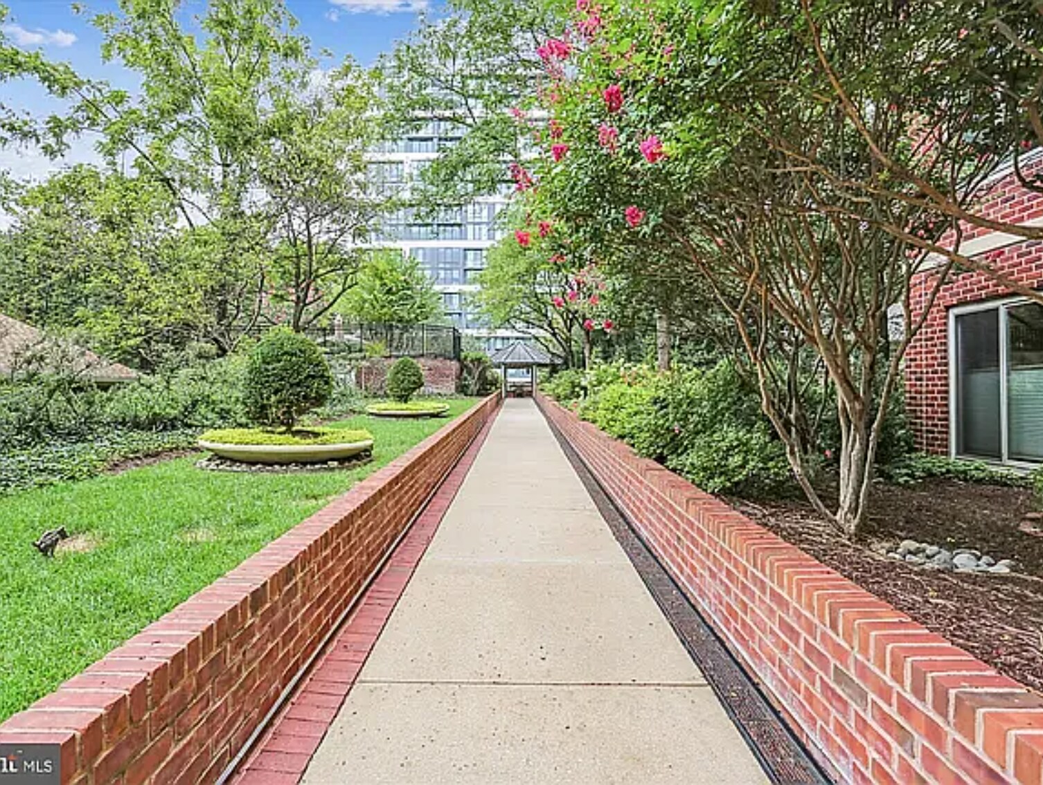 Back garden - 7500 Woodmont Ave