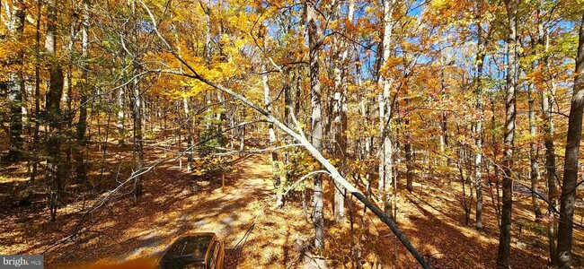 Building Photo - 41 Mountainside Loop