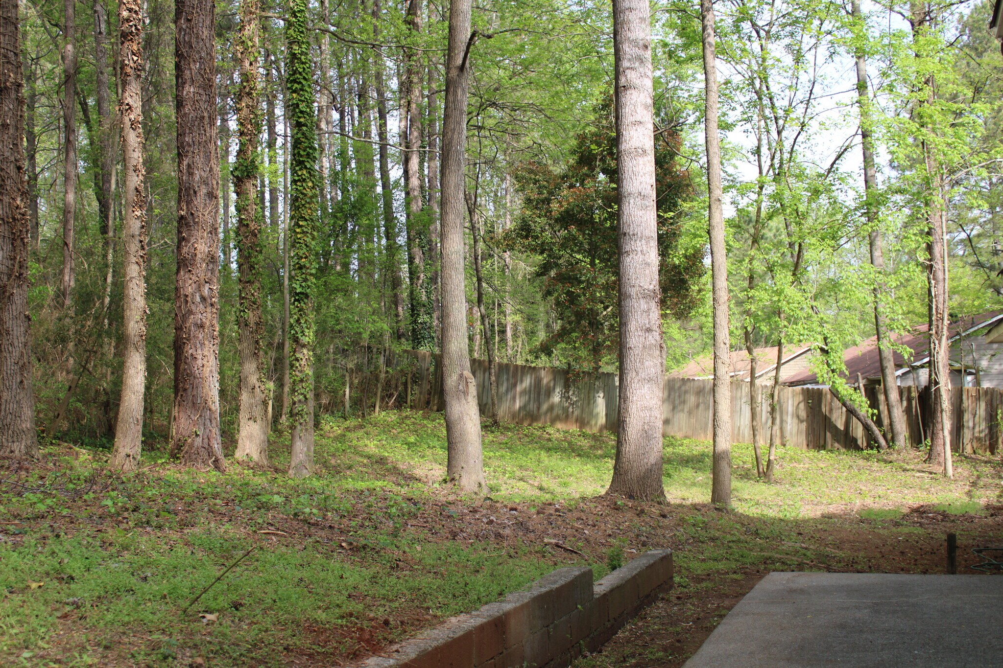 Building Photo - 1386 Williamsburg Ln