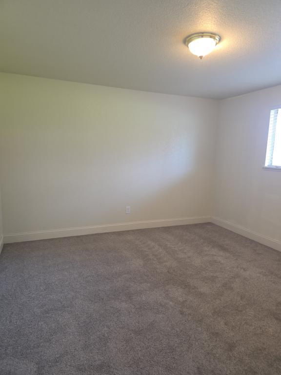 Building Photo - 300 Shafer Ln