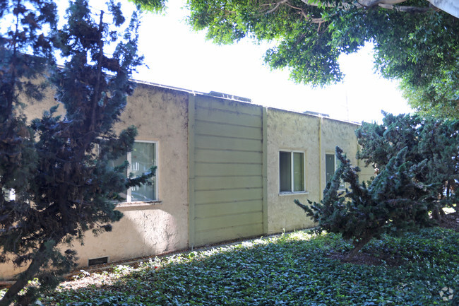 Building Photo - 1002 Marine St