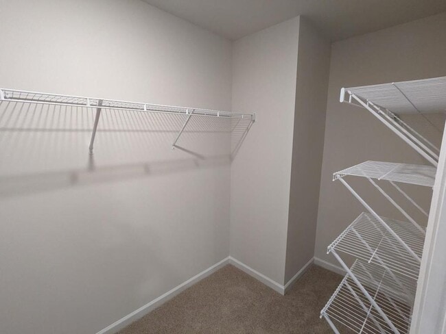 Building Photo - 1767 Odessa Ln