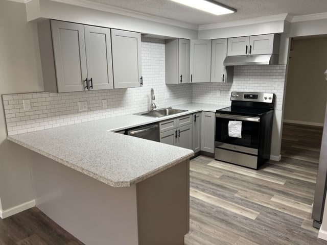 New Kitchen Cabinets and New Appliances - 320 S Brighton Dr