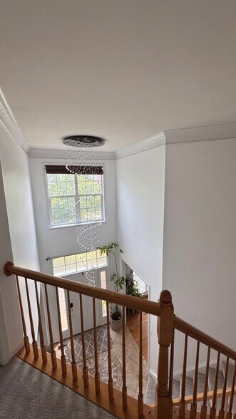 Building Photo - 5736 Caribbean Ct