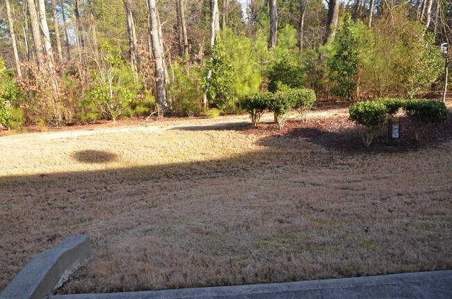 Building Photo - 241 Daymire Glen Ln