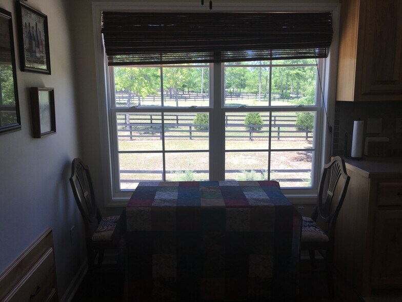 view from breakfast nook - 203 Three Runs Plantation Dr