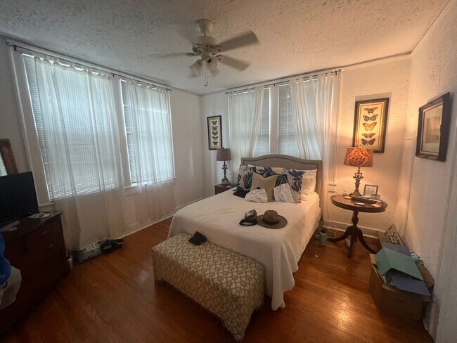 Building Photo - 1BD/1BA Uptown, on Mardi Gras Parade Route