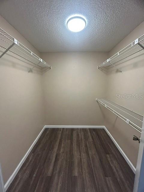 Building Photo - 563 Holbrook Cir