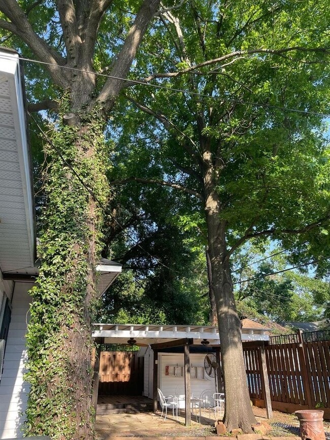 Building Photo - 7410 Ilex St