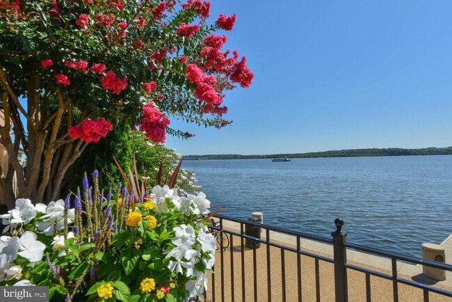 Building Photo - 700 Kahn Pl