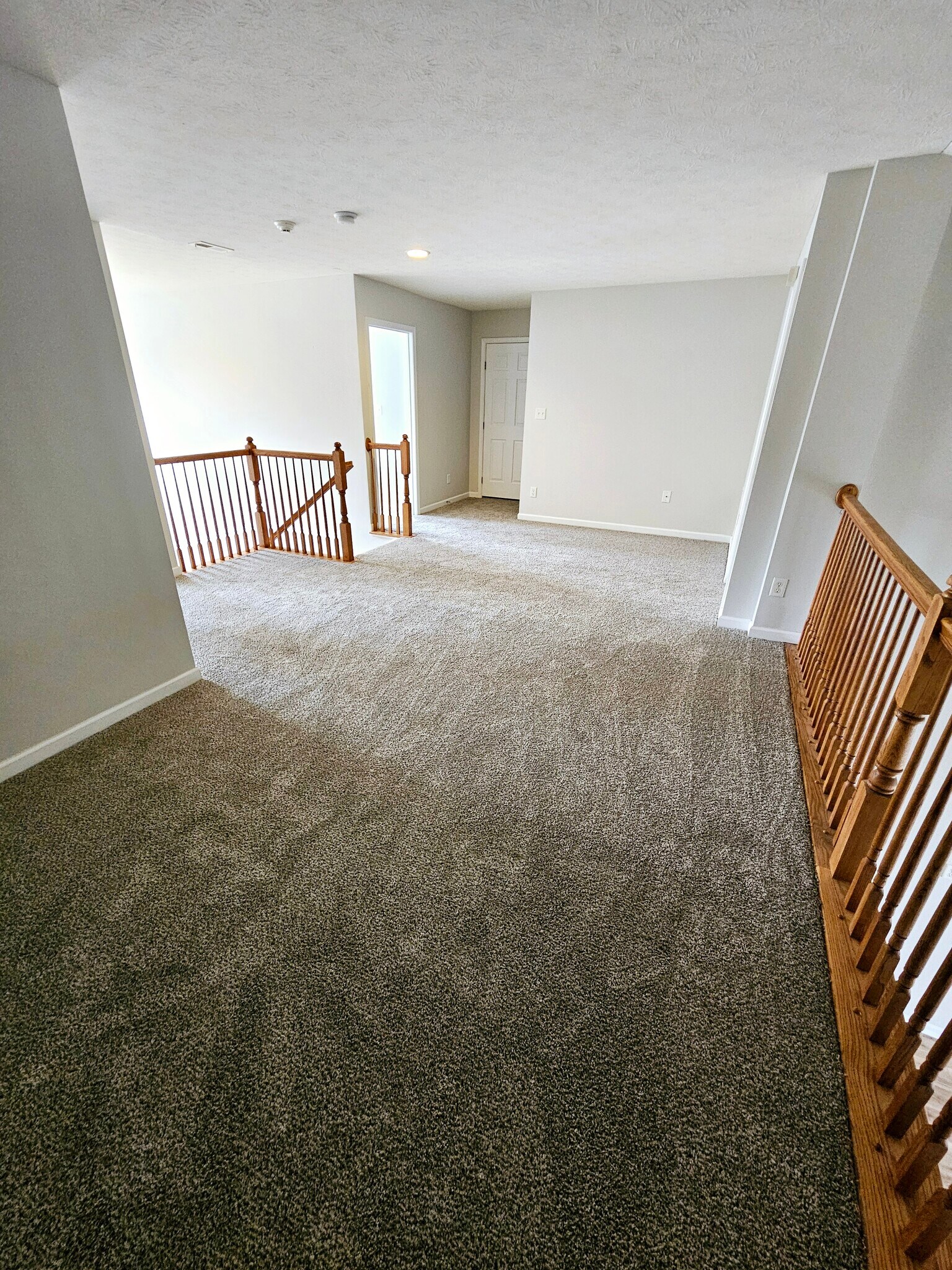 Building Photo - 4161 Tangletree Ct