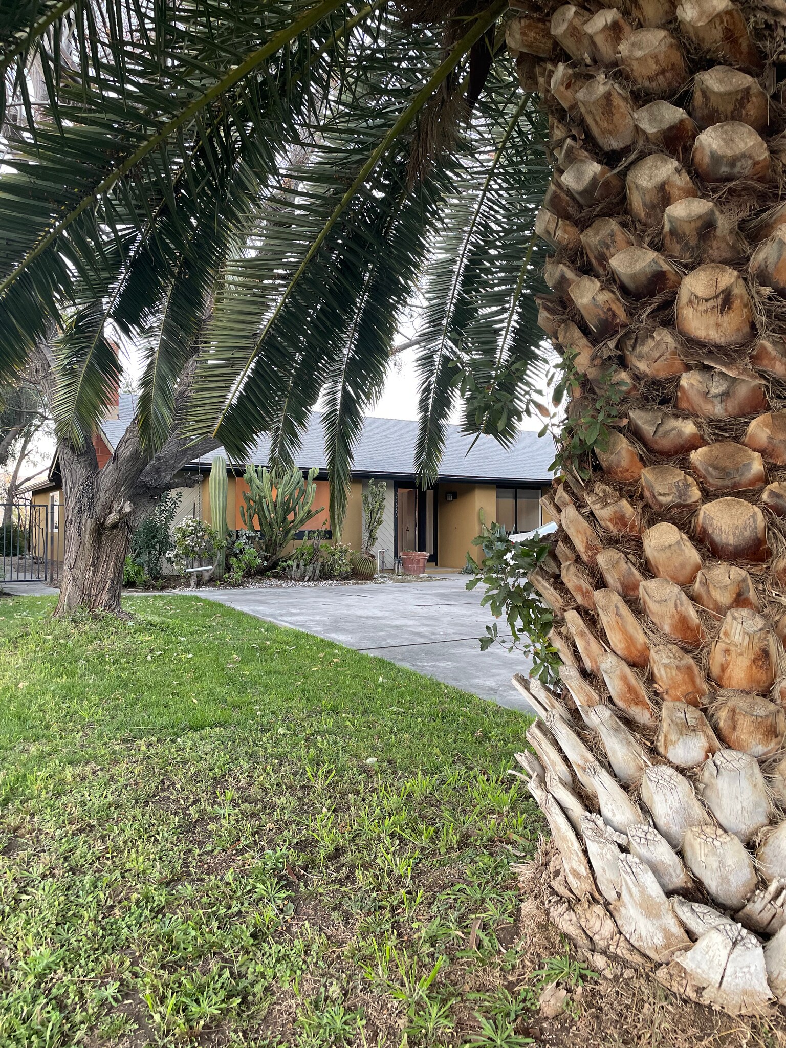 Building Photo - 25660 Allen Way