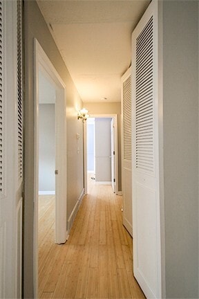 Building Photo - Completely Renovated 3 Bedroom 2 Bathroom ...