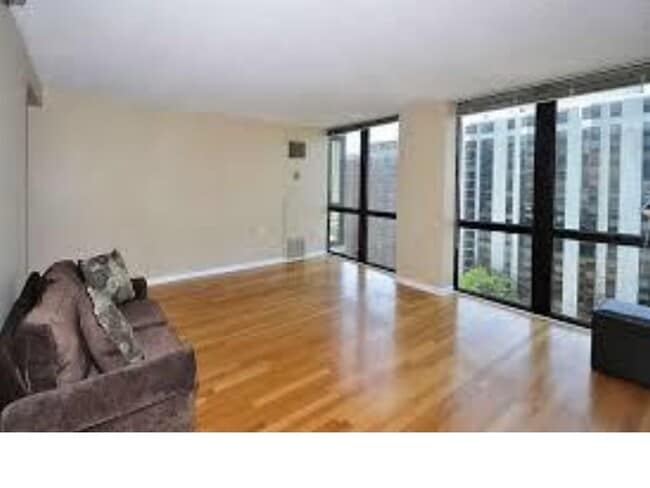 Floor-ceiling windows - 1122 N Clark St