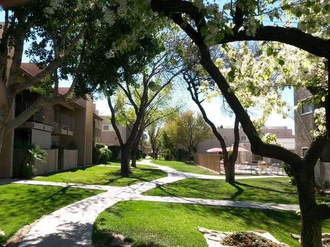 Primary Photo - 5525 E Thomas Rd