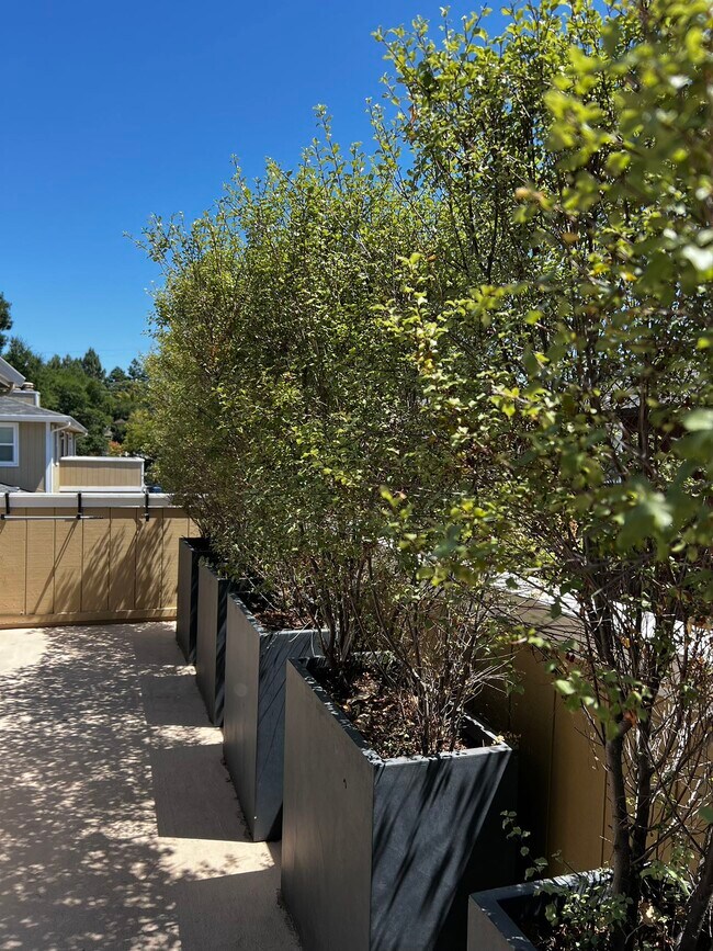 Building Photo - 580 Vista Ave