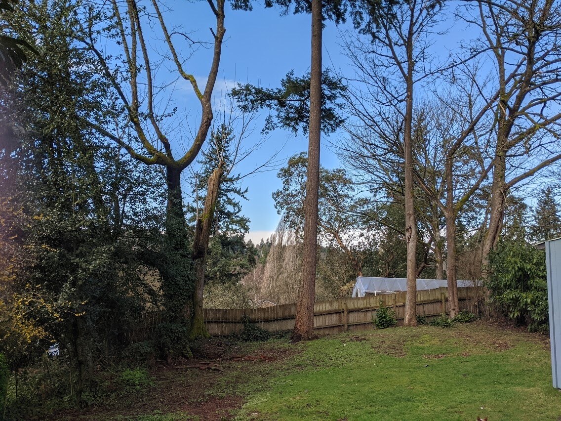 Building Photo - 9749 Sand Point Way NE