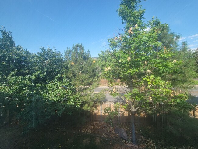 Building Photo - Sunny, newly remodeled 3 bed + office/2.5 bath in Applewood townhomes close to NOBO!