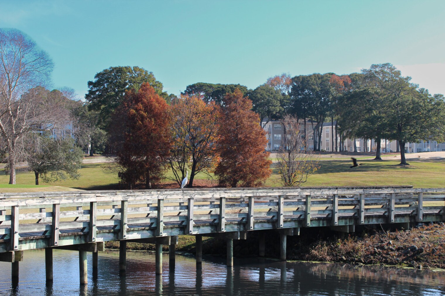 Building Photo - 125 Royal Poste Rd