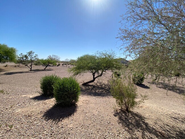 Building Photo - Anthem home