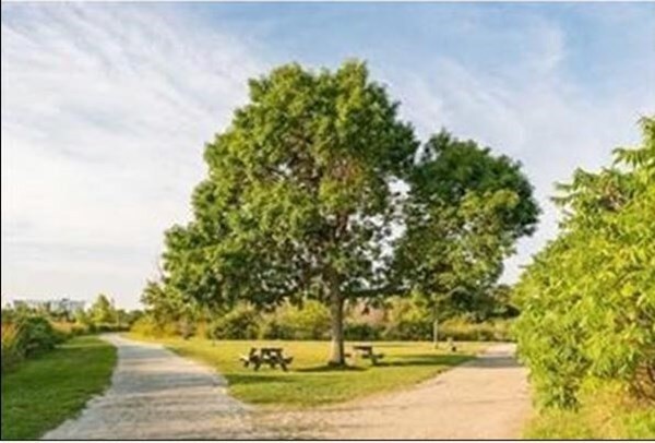 Building Photo - 73 Broad Reach