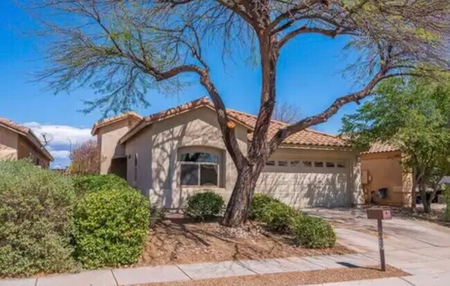 Primary Photo - 10427 E Avalon Park St