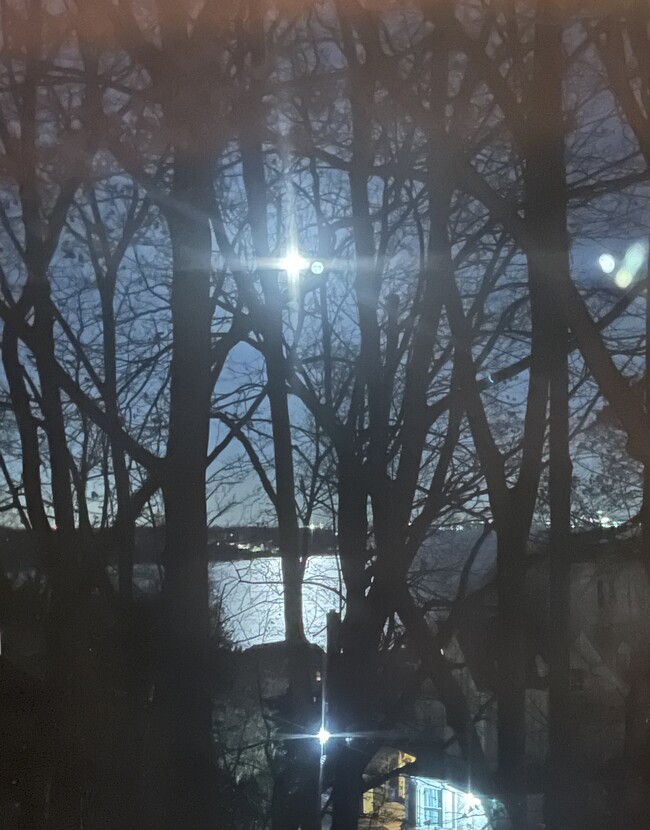 Magical night view from the living room - 42 Central Ave