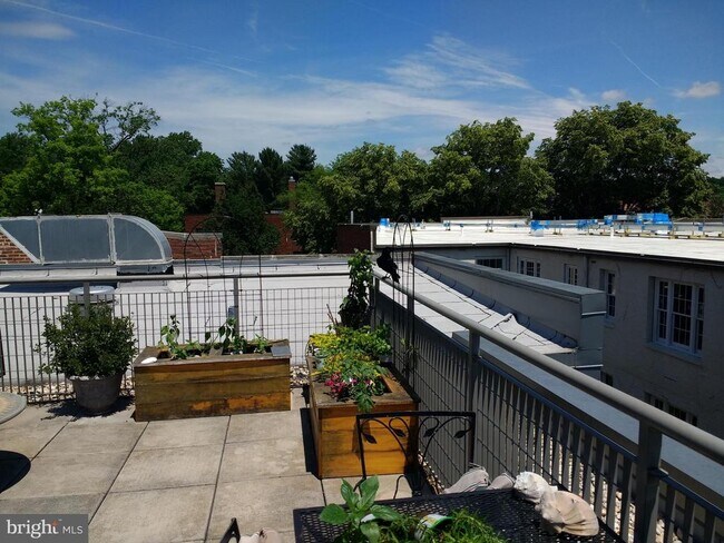 Building Photo - 2516 Q St NW