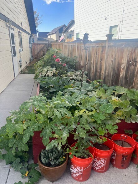 Building Photo - 1766 Buckrake Ave