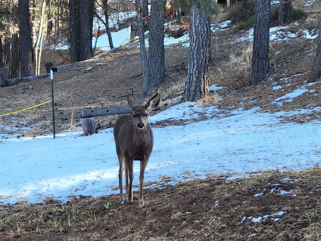 Building Photo - 308-310 Brady Canyon Rd