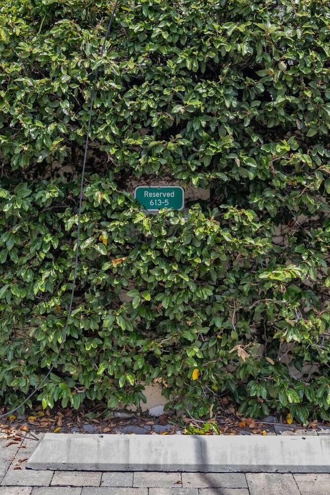 Building Photo - Charming Downtown Orlando 1/1 Corner Condo Near Lake Eola!