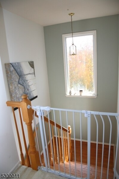 Building Photo - 17 Castle Dr