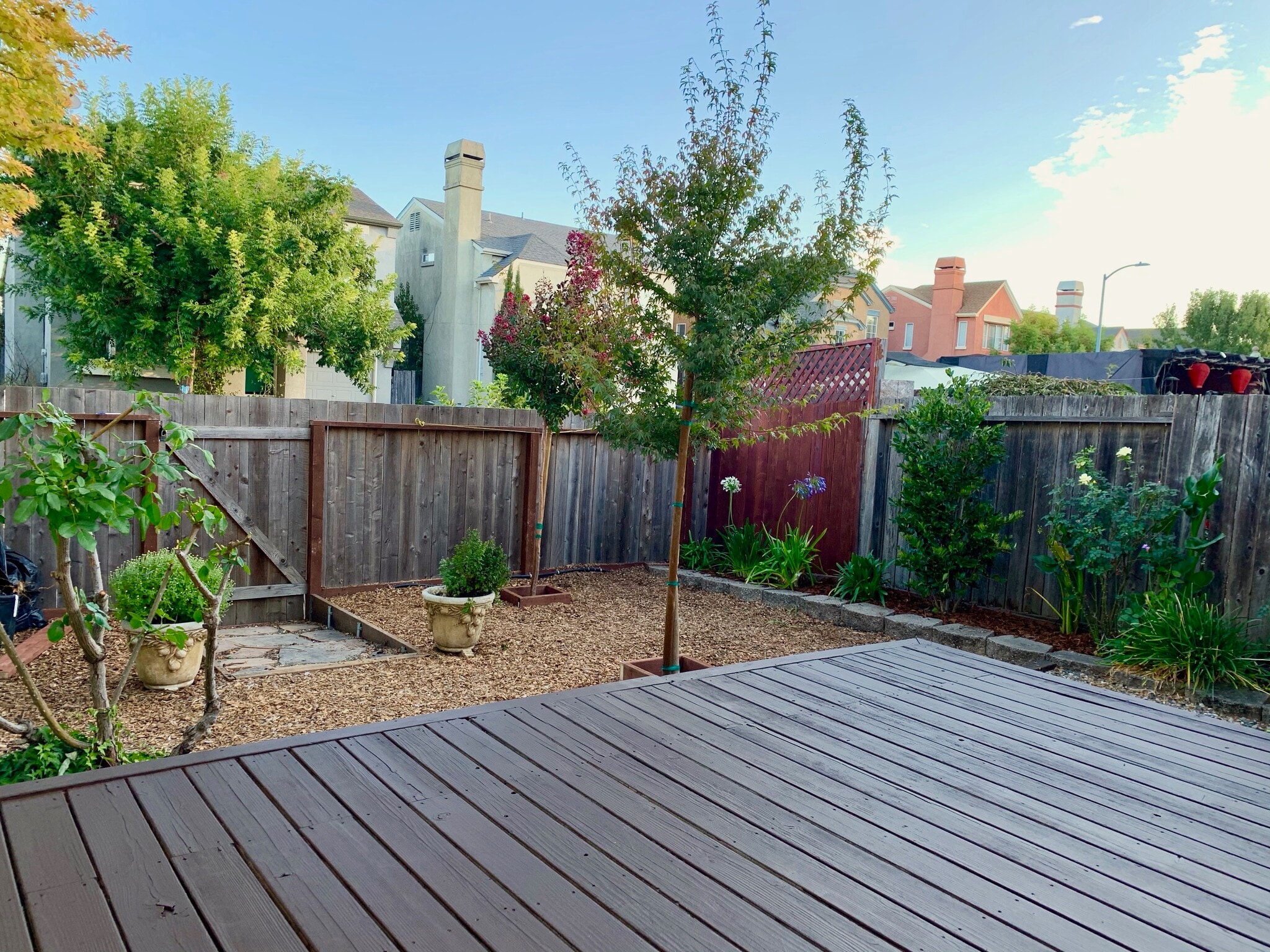 large back deck off of kitchen with landscaping - 2306 Francisco Ave