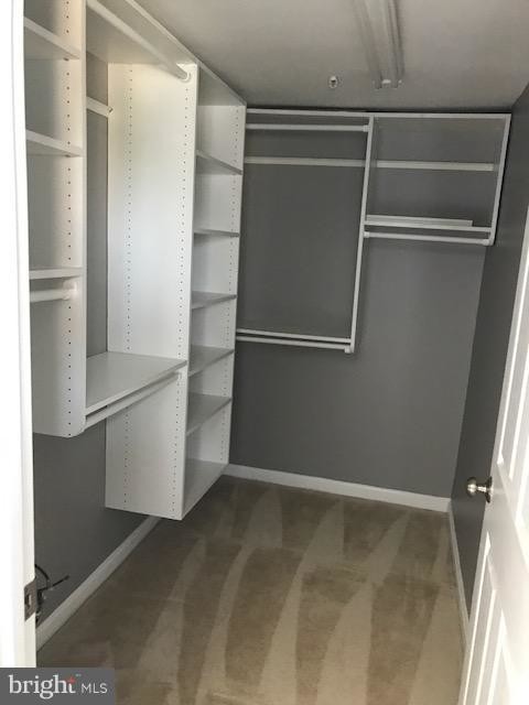 Building Photo - 2700 Bellforest Ct