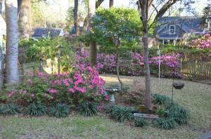 Building Photo - 2003 Izard Ct