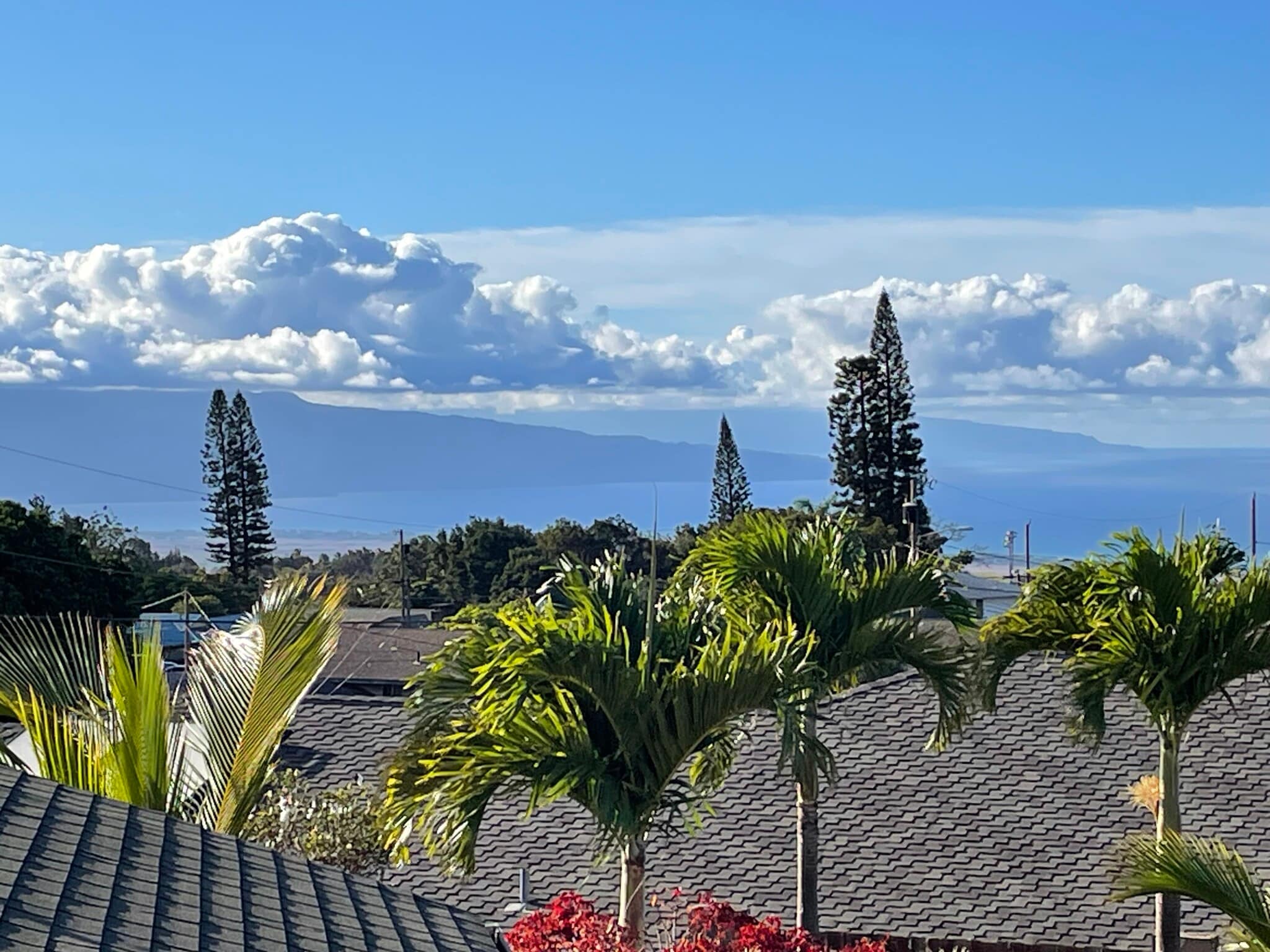 Building Photo - 115 Mahola St