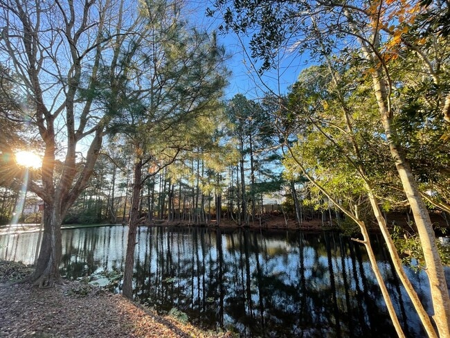 Building Photo - 4 BED / 3 BATH SINGLE FAMILY IN SALEM LAKES!