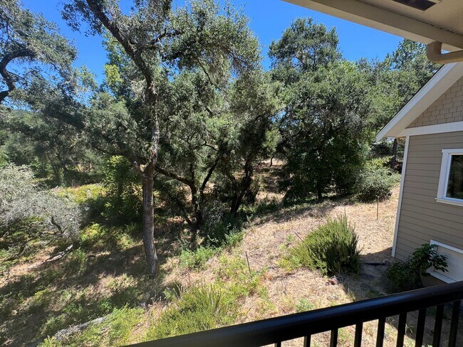Building Photo - Beautiful 3 Bedroom/2 Bathroom Plus Bonus Room in Ben Lomond