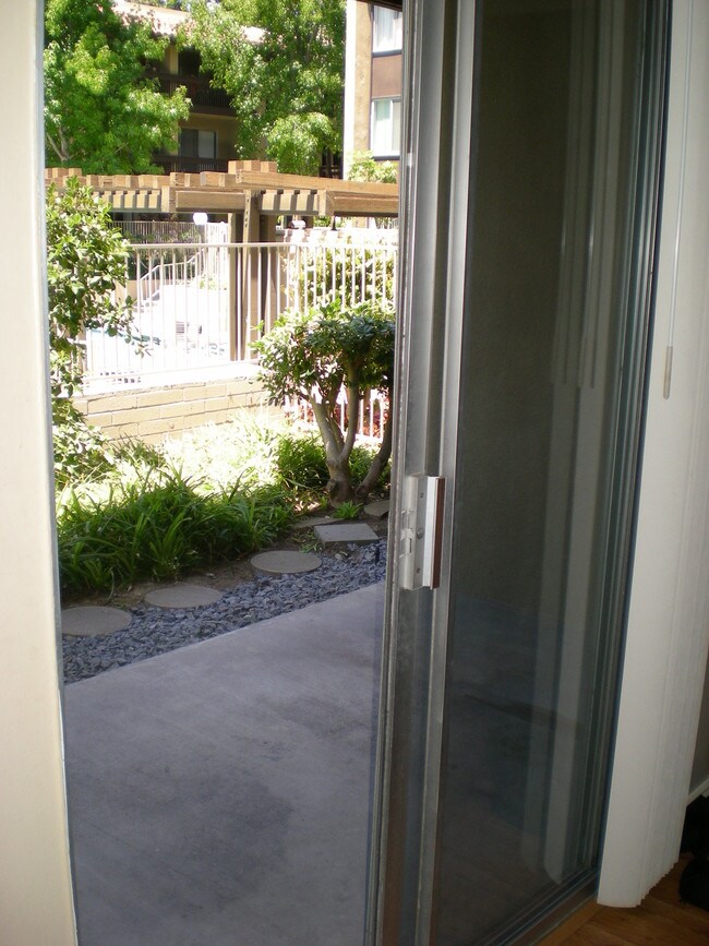 Back Patio - 1775 Diamond St