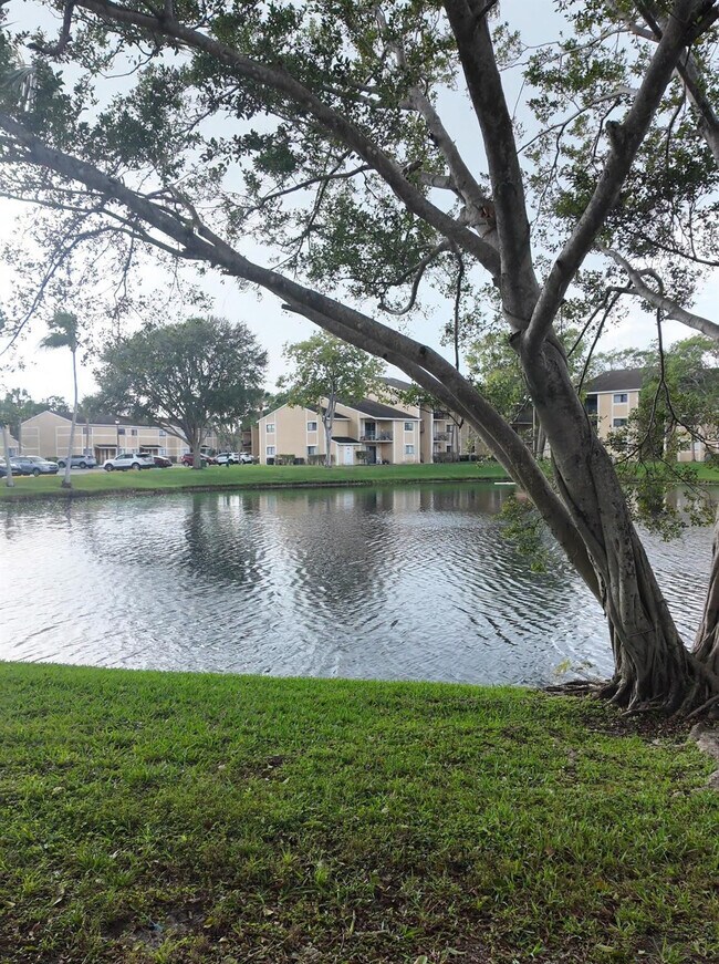 Building Photo - 320 Palm Cir E