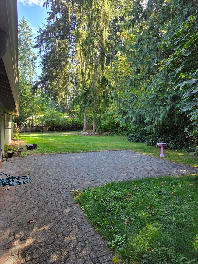 Backyard - 25119 237th Ct Se