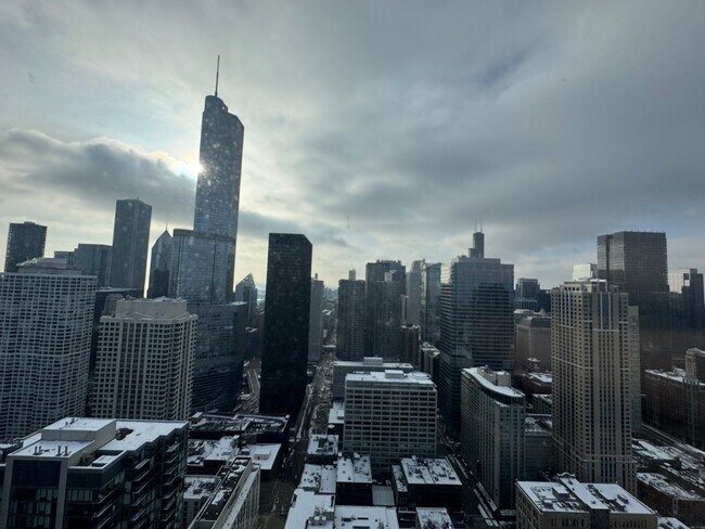 Building Photo - 545 N Dearborn St