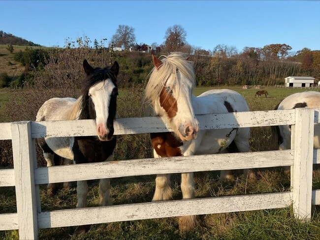 Building Photo - 330 Briar Manor