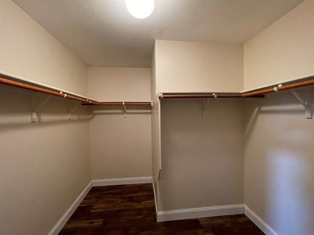 Building Photo - 804 White Fields Way